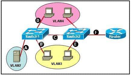 VLAN2. Which two Ethernet segments would need to be configured as trunk links? (Choose two.) A. A B. B C. C D. D E. E F.