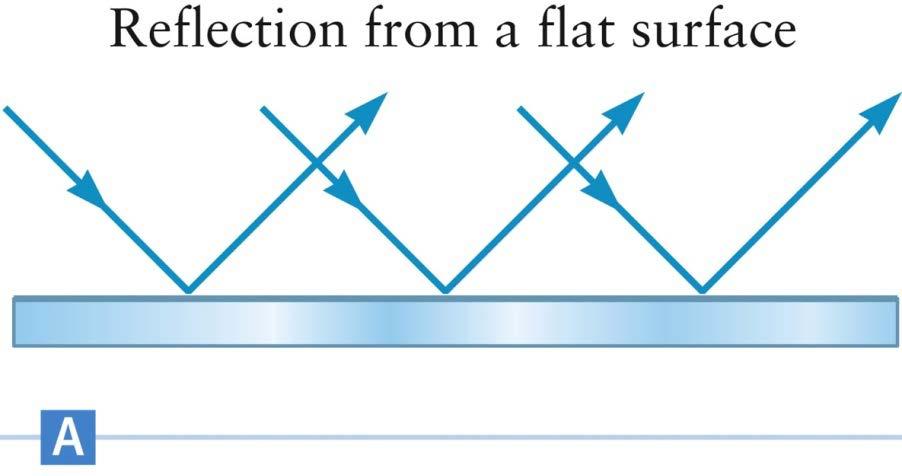 Reflection from a Plane Mirror, cont. Characterize the reflection by a single ray The normal (vertical dashed line in fig.