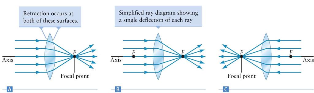 Lenses, Focal Point Parts B and C show the simplification of the single deflection of the rays Parallel rays close to the principal axis intersect at the