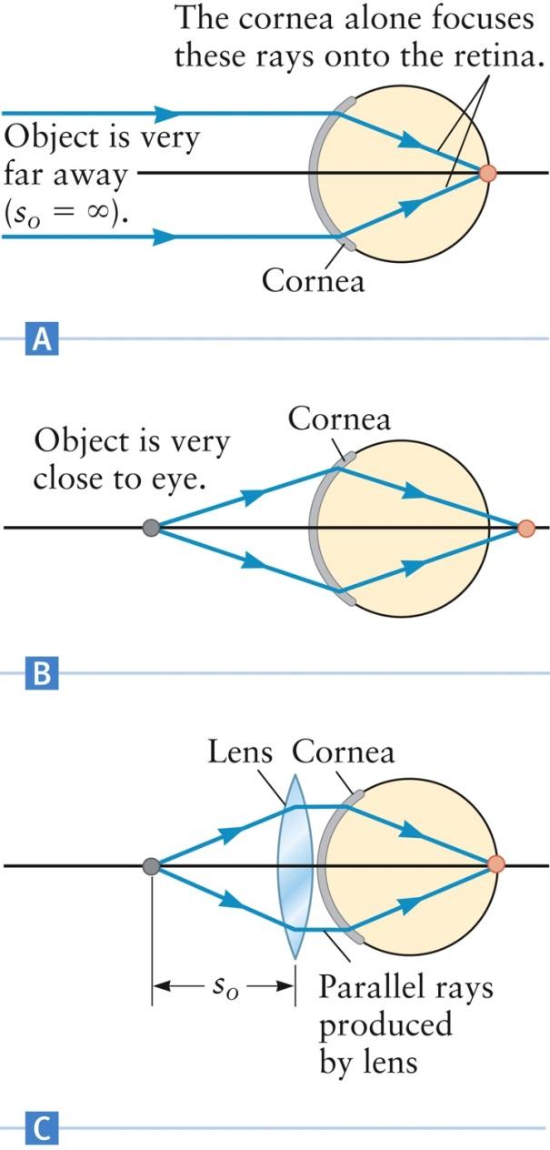 Lens of the Eye The lens is inside the eye Light passes through the lens after being refracted by the cornea To simplify the