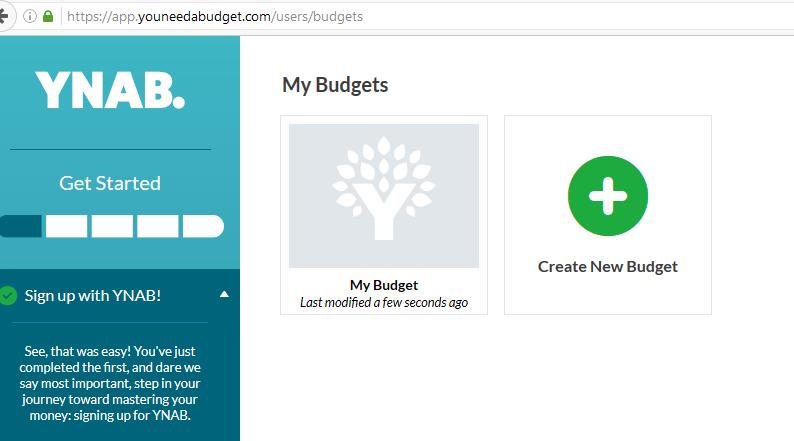 Click the green Create a new budget button, enter a name for your budget and set the other settings, then click the Create Budget button.