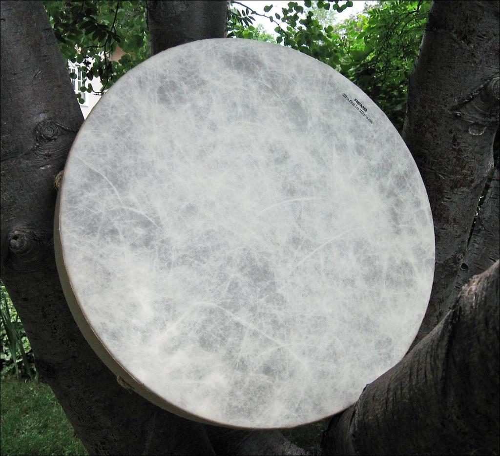 About the Buffalo Drum The drum that was sampled is a 22 inch diameter Remo Buffalo Drum with a wonderful rich resonant tone quality.