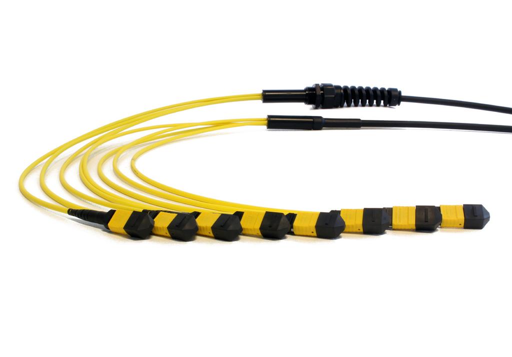 MTP Multi Lite Trunk Assemblies MTP Multi-Lite Trunk assemblies are a neat solution for providing up to four MTP -MTP links within a compact, high density ruggedised cable.