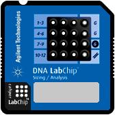 When the chip is detected, the image on the Instrument tab changes to a chip. If the chip is not detected, open and close the lid again.