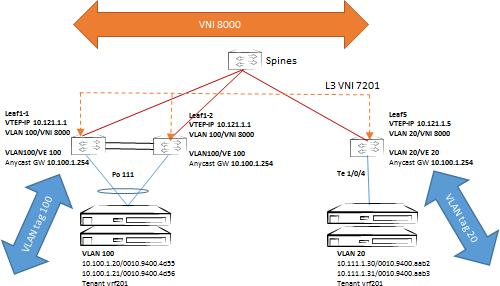 VLAN Scoping at the ToR Level essence, the VLAN tag on the wire between the servers and the leaf is decoupled from the bridge domain.