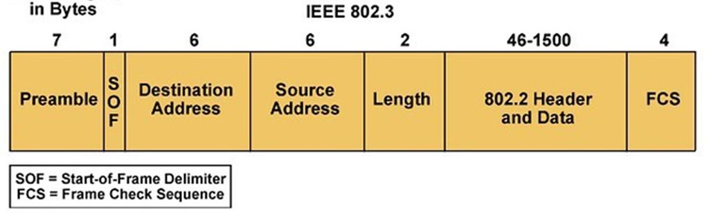 for the Data field, if not allowed use padding (filling with pad char) 6 bytes for each address field: MAC address (physical