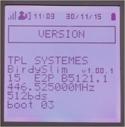5.7.1 Version In Version you can get info about firmware version. On example above : - Firmware version : v1.00.