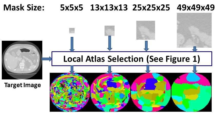 In our previous work (Tong et al., 2013), DDLS with a fixed-atlas strategy was proposed which we denoted as F-DDLS.