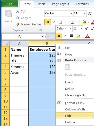 Appendix - Working with Excel Intermediate Excel skills will be an advantage when running and exporting reports from Discoverer.