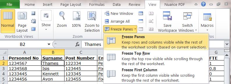 Freezing Panes If you are working with a large amount of data on a spreadsheet you may want to retain certain rows or columns in your view whilst scrolling further along the columns/down the sheet.