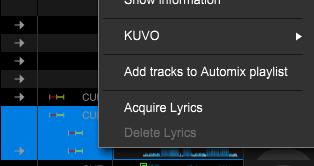 Lyrics can be automatically acquired when track analyzing. To do so, open [Preferences] [Lyric] [Acquire lyrics when analyzing tracks].