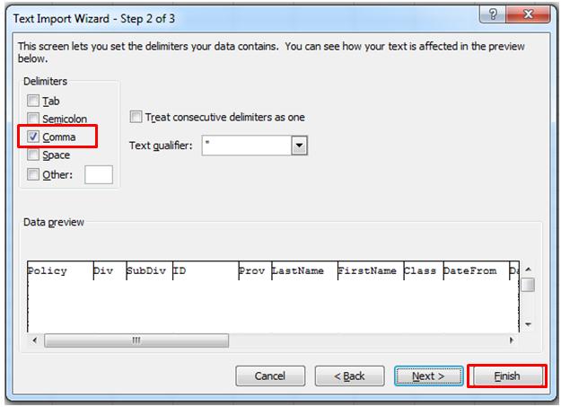Note: To manually format your data, skip the next step. Once your data is loaded to your template; select Ctrl and Z at the same time to activate the format macro.