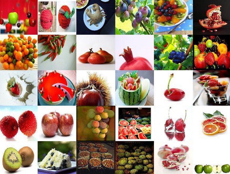 Sample query results for tag queries: fruit and fly Strawberries, apples, oranges, and even market