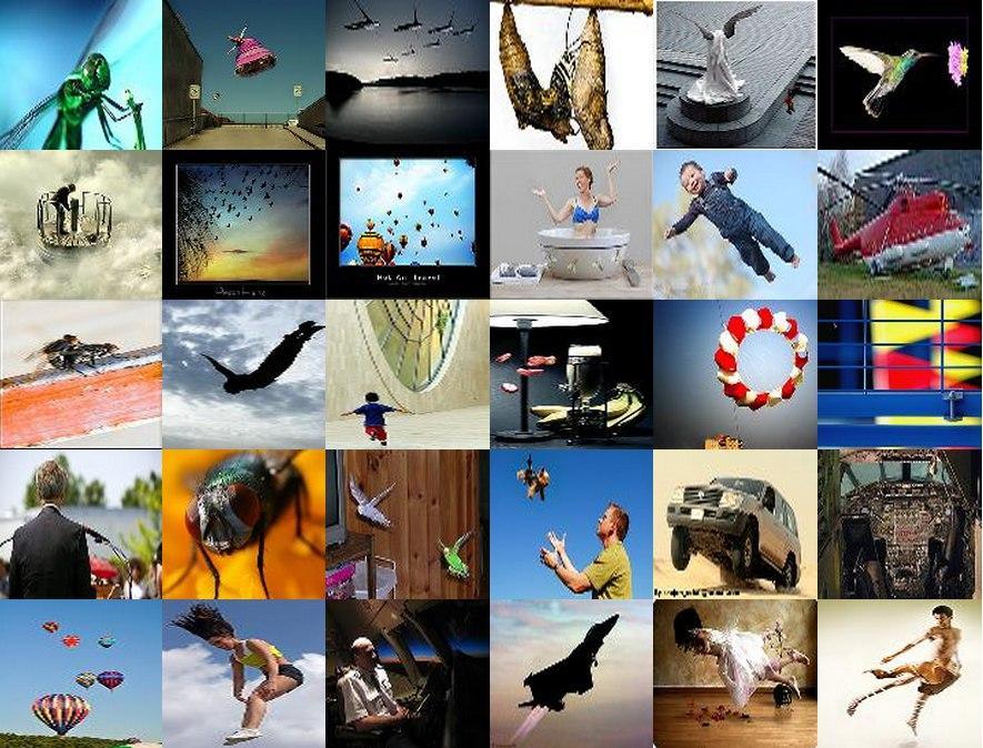 semantically distinct objects and scenes apple, orange, bird, and act of jumping are all example