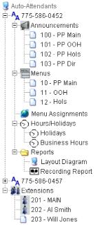 Click on the symbol next to your Auto Attendant number to expand the menu tree, as shown below. Figure 2. Auto Attendant menu tree This shows the following options for managing the Auto Attendant.