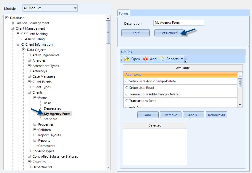 Chapter 4: System Configuration Settings 3. Highlight the custom form in the Forms collection of the data object and click Set Default on the right.