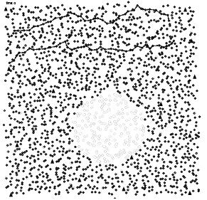 Describing a Network Algorithmic approach: We simulated a network with 2000 nodes distributed on a perturbed grid.