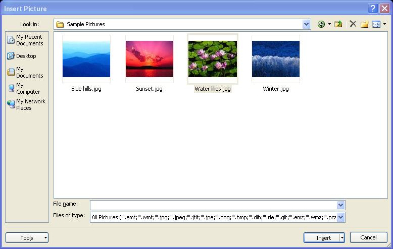 Adding Pictures from Your Computer You can insert any picture file from your computer or other media drive using the Insert Picture command.