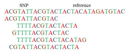 Single Mutation Detection Most sequences agree in every position with the reference sequence When many sequences disagree with the reference in one position but agree