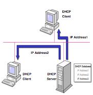 DHCP in a
