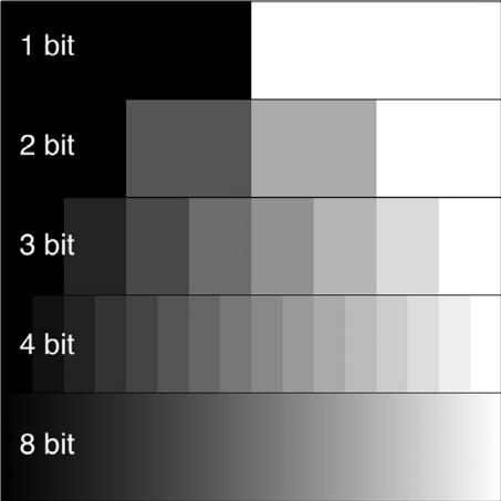 Ukoliko je crno-bijela fotografija 24bitna, to bi značilo da ima 256 nijansi sive boje koje se mogu na njoj prikazati. Kako se spremljenja fotografija sastoji od tri kanala, svaki kanal ima po 8 bita.