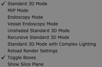 7.0 3D First Person Viewport The 3D First Person viewport is one of two 3D rendering viewports in the application. It uses ray marching to generate a three- dimensional image from the volume.
