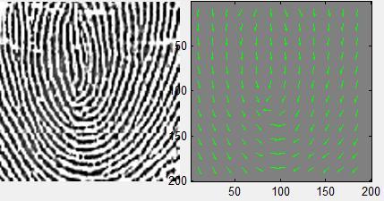 segmentation In general, only a Region of Interest (ROI) is useful to be recognized for each fingerprint image.