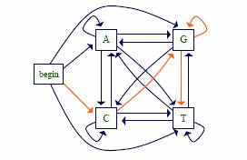 Markov Chain Models Pr(cggt)