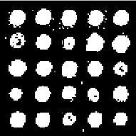 V. Uslan and Đ. Ö. Bucak 245 Fig. 3: 5*5 spotted microarray image a. Image, b. Greyscale image, c.