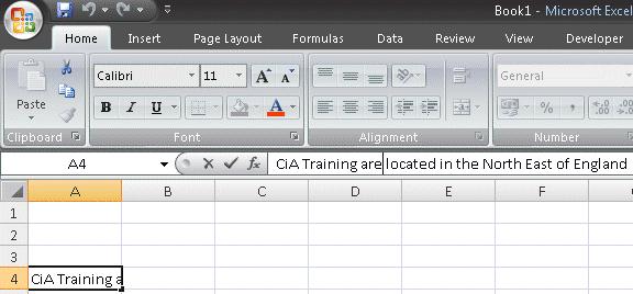 Editing in the Formula Bar When a cell entry is long or complicated and only small changes are to be made, the changes are either made in the Formula Bar or in the cell itself (covered in the next