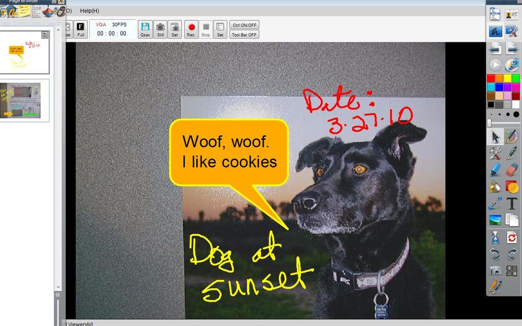 Place your new document or object under the document camera, zoom to resize and then click on the