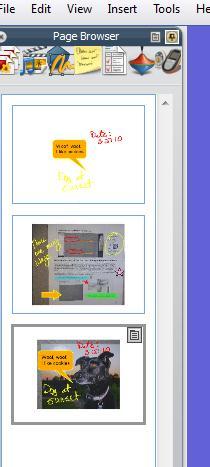 Again, select New Page and the image and annotations will appear in a new Flipchart