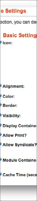 Page Settings Basic Settings Icon: Alignment: Color: Border: Visibility: Display Container: Allow Print: Allow Syndicate: Module Container: Cache Time: Select an Icon for this Module to display in