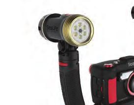 Paired with the DC2000, the Sea Dragon Flash produces rich, deep colours and reduces backscatter.