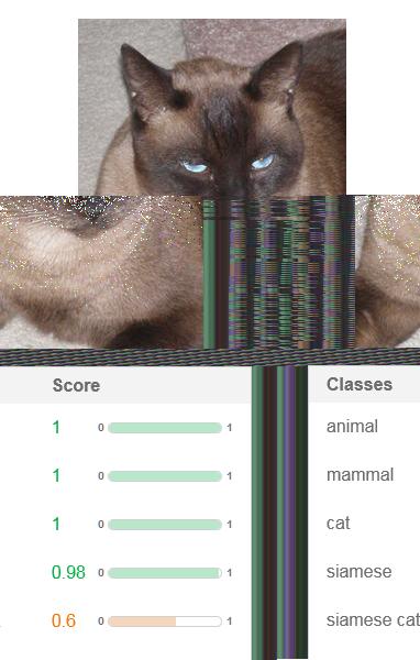 How the app works For this app, you submit an image, and the service returns scores for relevant classifiers representing things