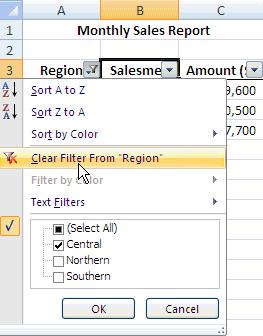 9. The entire list is displayed once again. Click on the Amount drop down list.