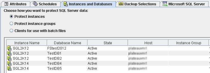 For databases that are hosted on a SQL Server cluster, the Host Name represents the virtual name of the SQL
