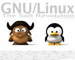 Story about GNU/Linux By 1991 GNU had already amassed a