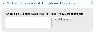 5. If you would like to ring an extension (such as a live receptionist's phone) before the call goes to your virtual receptionist, in the third section, "Try