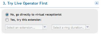 In the fourth section, "Virtual Receptionist Options", you are able to set up the list of numerical, interactive options to present to your callers.