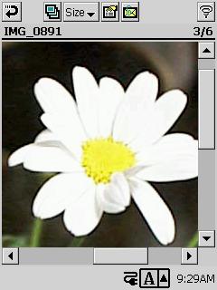 Using the Snapshot Screen There are four different snapshot screen views: compressed, uncompressed,