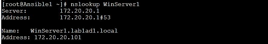 1. Edit /etc/resolv/conf search Lab1AD1.local nameserver 172.20.20.1 If Network Manager is running (the default configuration), it will overwrite this configuration.