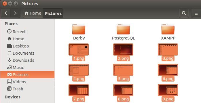 OK. Figure 60: Folder Pictures Host Computer Click Start to run the Virtual Machine Ubuntu.