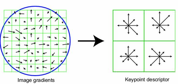 Fig. 4. Keypoint descriptor process 5 presents results obtained at the 1st step - Scale-space Construction. Fig. 6 (b), (c), and (d) presents results obtained at the 2nd step - Keypoint Localization.