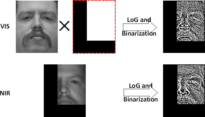 Partial Face Matching between NIR and Visual Images in MBGC Portal Challenge 737 Fig. 3.