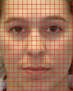 738 D. Yi et al. 4 NIR-VIS Face Matching The NIR-VIS face matching will be done based on the binary face features and the mask of the face area.