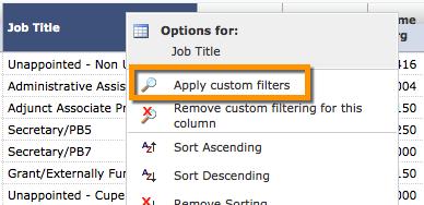 21 Choose Apply custom filters.