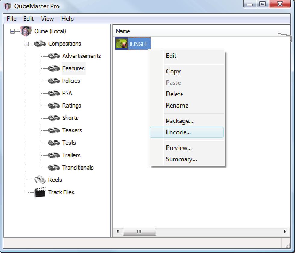 In the Encoder UI, assign a name in the Composition
