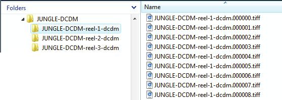 Select [Start] on the Encoder dialog box to initiate the encode and the DCDM creation.