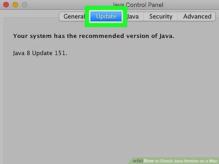 If you don't see the Java icon, you do not have Java installed.